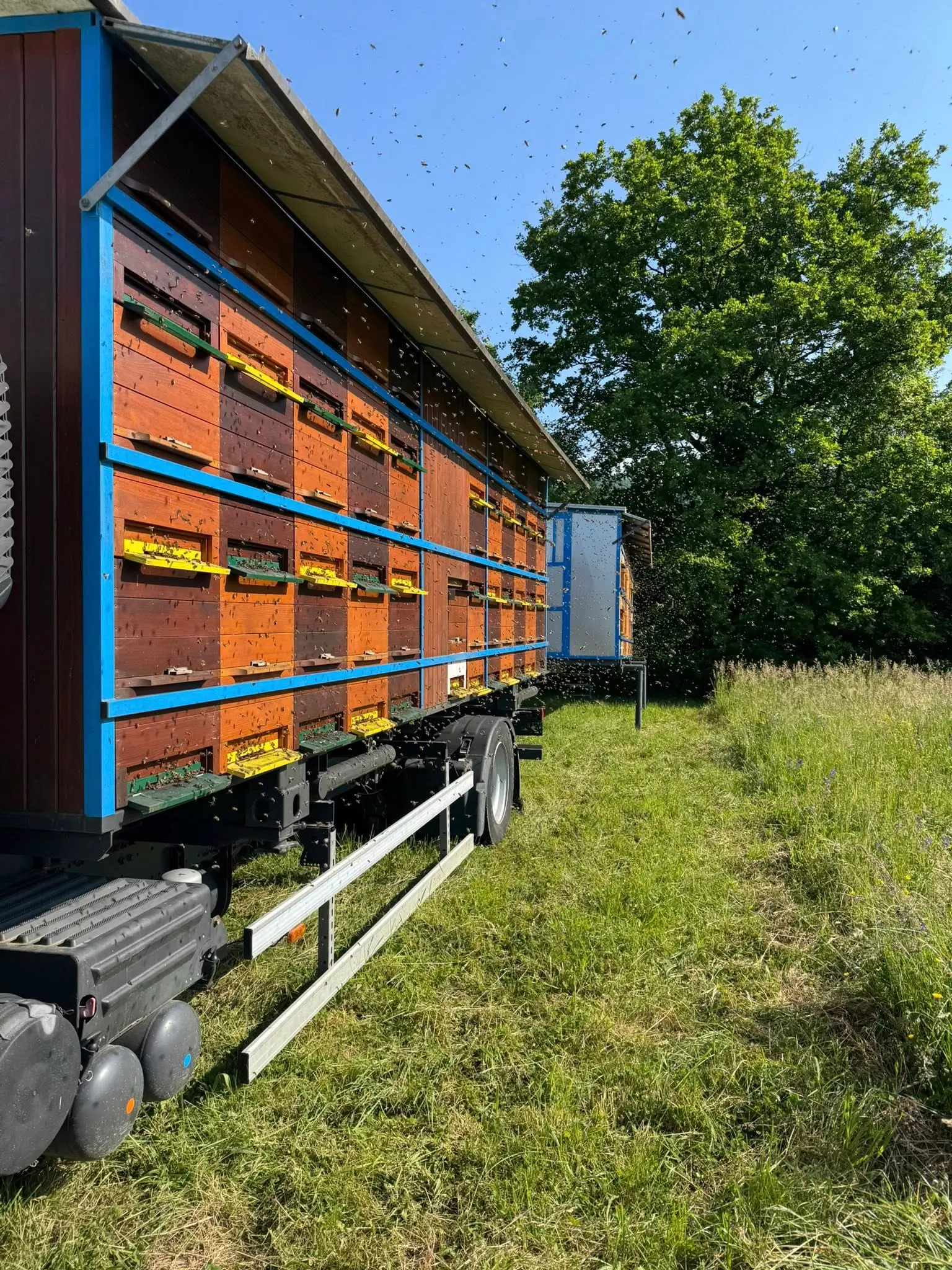 Prevozno čebelarstvo 3